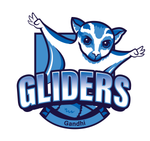 gliders-resized.png